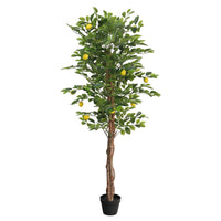 Albero Limoni Artificiale con 3 Tronchi Verde 180 cm in PP 4010678