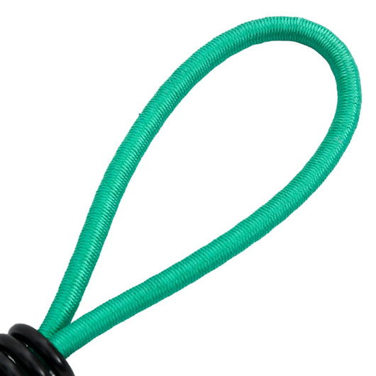 Corde Elastiche con Ganci 20 pz 15 cm 4012229