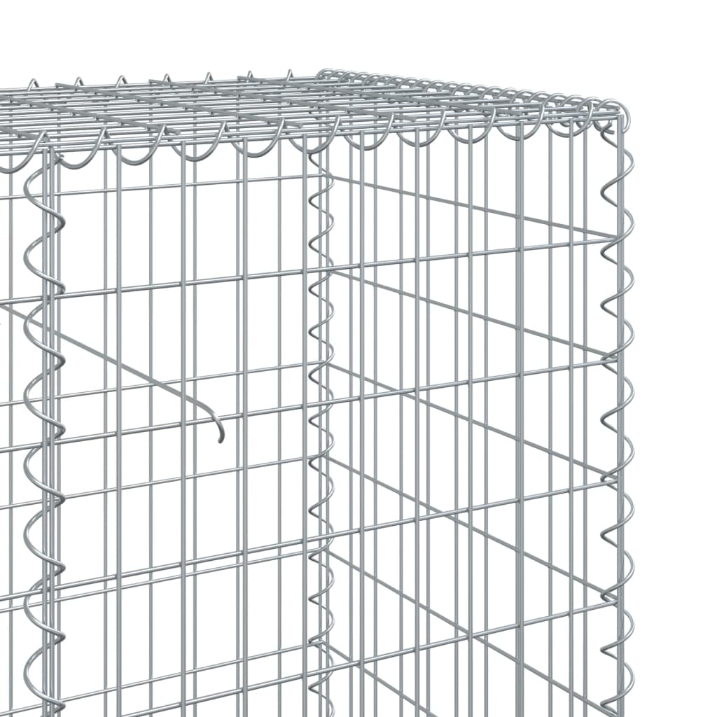 Cesto Gabbione con Copertura 200x50x100 cm in Ferro Zincato 3295143