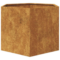 Fioriera da Giardino Esagono 69x60x45 cm in Acciaio Corten 851128