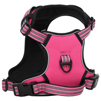 Pettorina per Cani con Guinzaglio e Collare Regolabile Rosa S 4013384