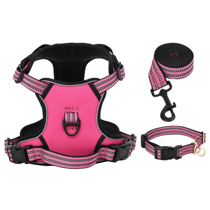 Pettorina per Cani con Guinzaglio e Collare Regolabile Rosa S 4013384