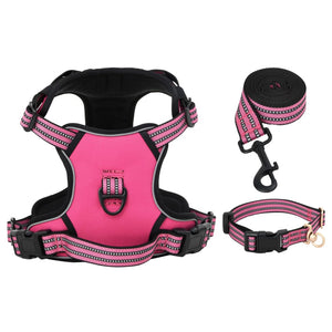 Pettorina per Cani con Guinzaglio e Collare Regolabile Rosa M 4013389