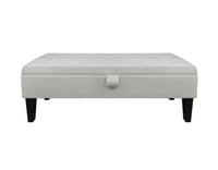 Divanetto In Velluto Panca Contenitore Pouf PortaOggetti Panca Sgabello A Pie Di Letto Cassapanca Ingresso Legno Massello Panchina - Grigio