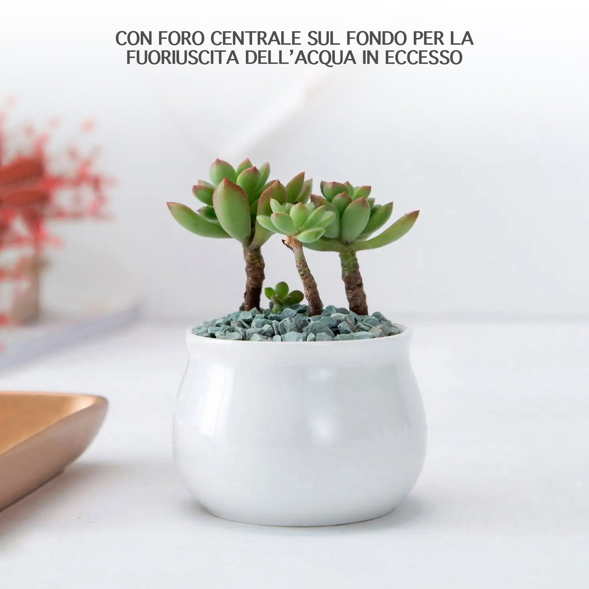 Set 4 Pezzi Vasi In Ceramica Con Decorazioni Fiori Piante Grasse Con Sotto Vaso In Bambù Foro Centrale Vasetti Cactus Decorazione Interno Esterno Con Foro Scarico Contenitore  - 5AlberelloNeutro