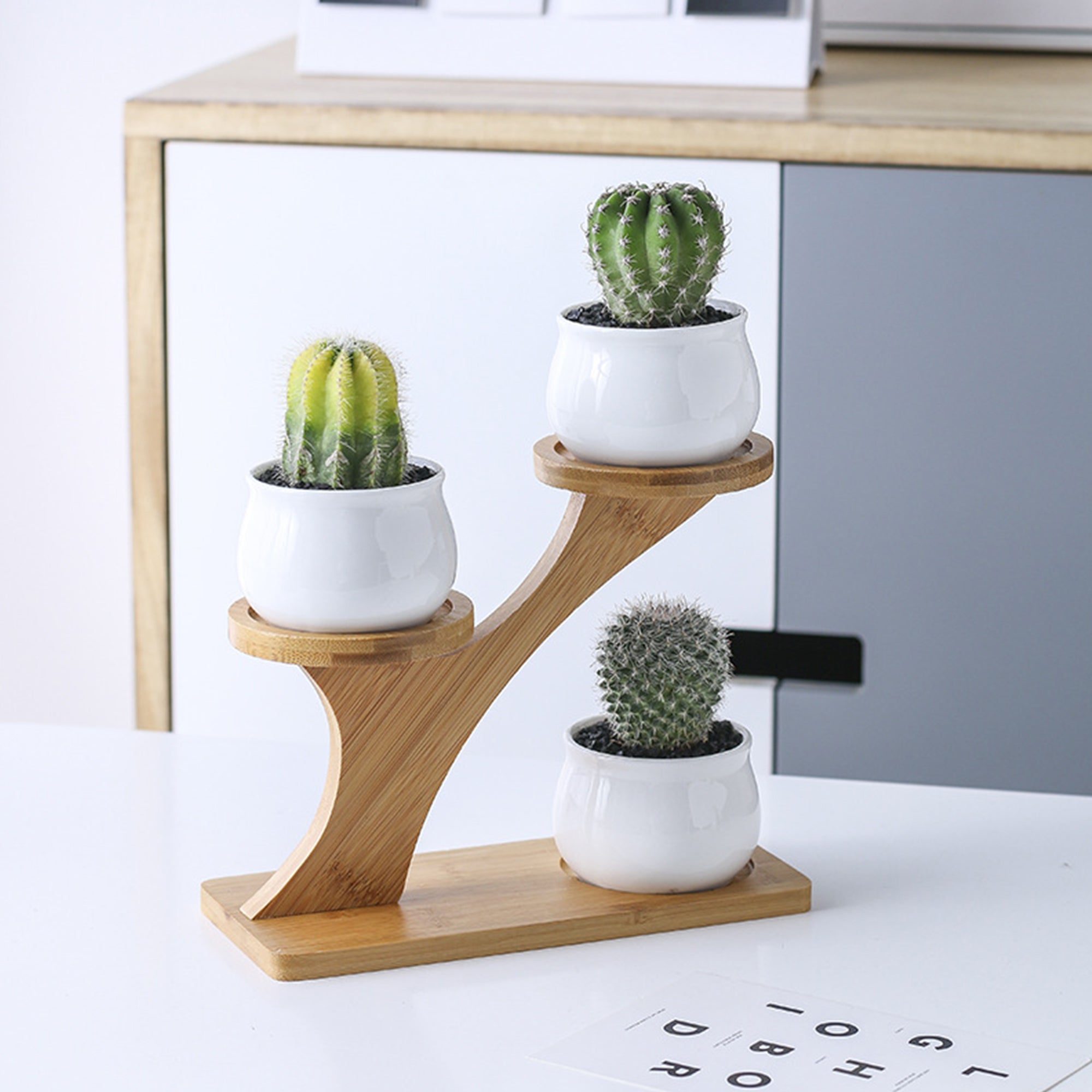 Set 4 Pezzi Vasi In Ceramica Con Decorazioni Fiori Piante Grasse Con Sotto Vaso In Bambù Foro Centrale Vasetti Cactus Decorazione Interno Esterno Con Foro Scarico Contenitore  - 5AlberelloNeutro