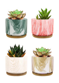 Set 4 Pezzi Vasi In Ceramica Con Decorazioni Fiori Piante Grasse Con Sotto Vaso In Bambù Foro Centrale Vasetti Cactus Decorazione Interno Esterno Con Foro Scarico Contenitore  - 6Shades