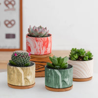 Set 4 Pezzi Vasi In Ceramica Con Decorazioni Fiori Piante Grasse Con Sotto Vaso In Bambù Foro Centrale Vasetti Cactus Decorazione Interno Esterno Con Foro Scarico Contenitore  - 6Shades