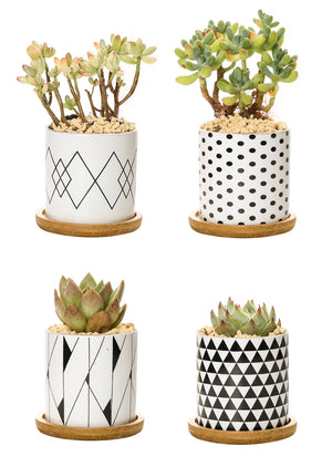 Set 4 Pezzi Vasi In Ceramica Con Decorazioni Fiori Piante Grasse Con Sotto Vaso In Bambù Foro Centrale Vasetti Cactus Decorazione Interno Esterno Con Foro Scarico Contenitore  - 9Geometrico