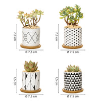 Set 4 Pezzi Vasi In Ceramica Con Decorazioni Fiori Piante Grasse Con Sotto Vaso In Bambù Foro Centrale Vasetti Cactus Decorazione Interno Esterno Con Foro Scarico Contenitore  - 9Geometrico