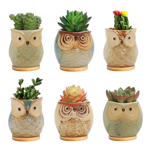 Set 6 Pezzi Vasi In Ceramica Fiori Piante Grasse Gufi Con Sotto Vaso In Bambù Foro Centrale Cactus Decorazione Interno Esterno Casa Vasetto Con Foro Scarico Fioriera Contenitore - 1Gufetti