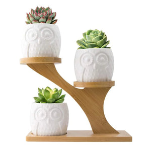 Set 6 Pezzi Vasi In Ceramica Fiori Piante Grasse Gufi Con Sotto Vaso In Bambù Foro Centrale Cactus Decorazione Interno Esterno Casa Vasetto Con Foro Scarico Fioriera Contenitore - 4AlberelloGufi