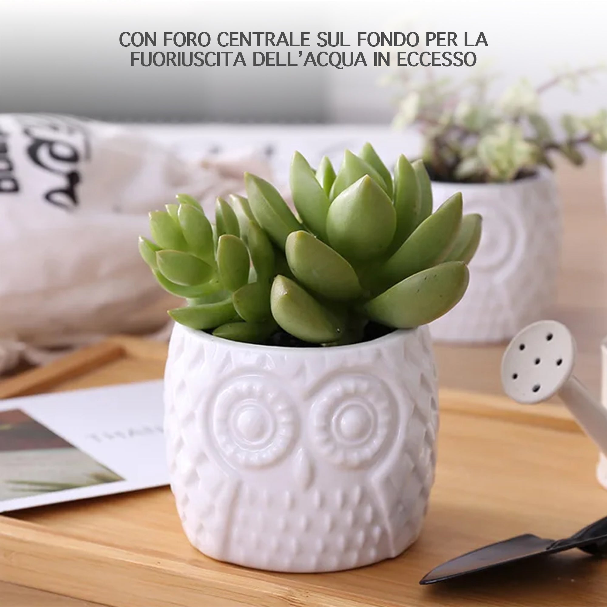 Set 6 Pezzi Vasi In Ceramica Fiori Piante Grasse Gufi Con Sotto Vaso In Bambù Foro Centrale Cactus Decorazione Interno Esterno Casa Vasetto Con Foro Scarico Fioriera Contenitore - 4AlberelloGufi