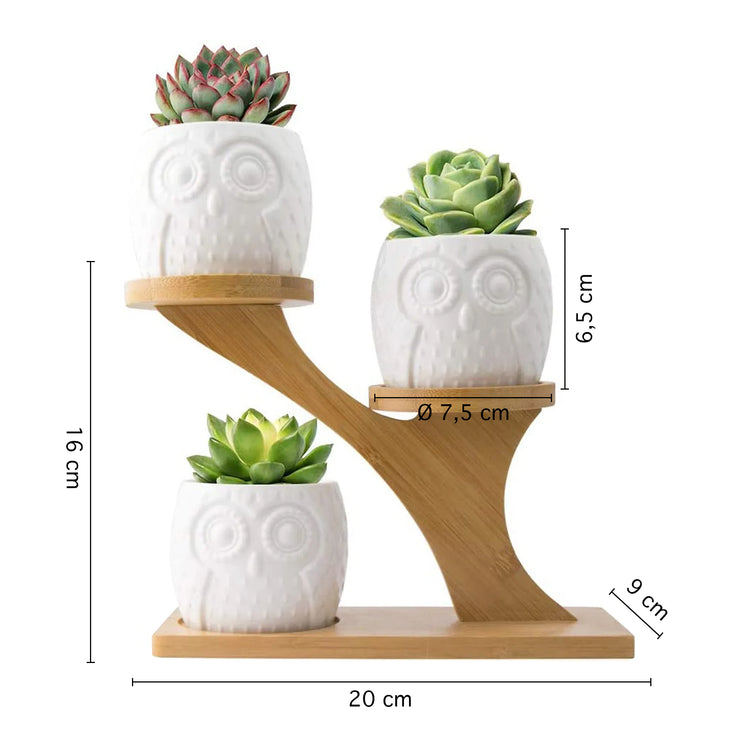 Set 6 Pezzi Vasi In Ceramica Fiori Piante Grasse Gufi Con Sotto Vaso In Bambù Foro Centrale Cactus Decorazione Interno Esterno Casa Vasetto Con Foro Scarico Fioriera Contenitore - 4AlberelloGufi