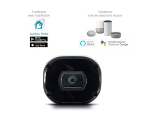 Telecamera da Esterno IP WIFI smart 1080P - HomeCam WR Avidsen