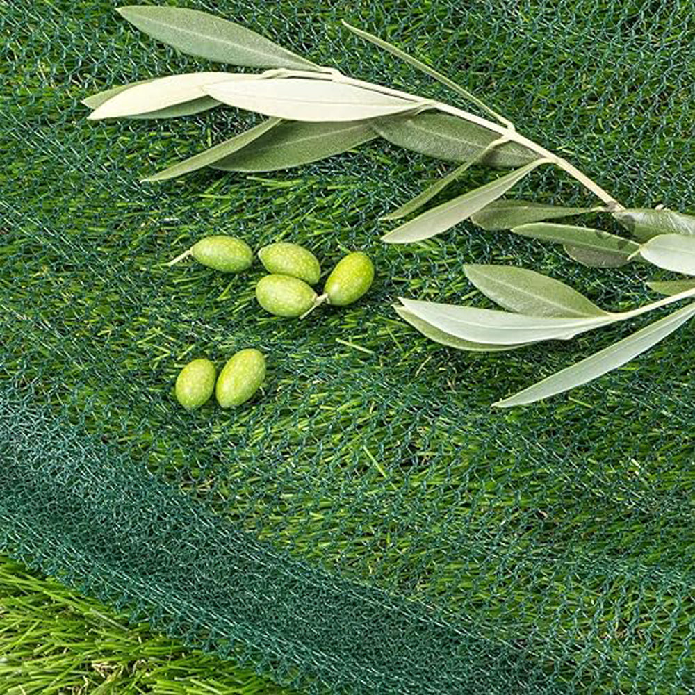 RETE OLIVE TESSUTO ANTISPINA 10x10m VERDE LATI RINFORZATI OCCHIELLI CON APERTURA