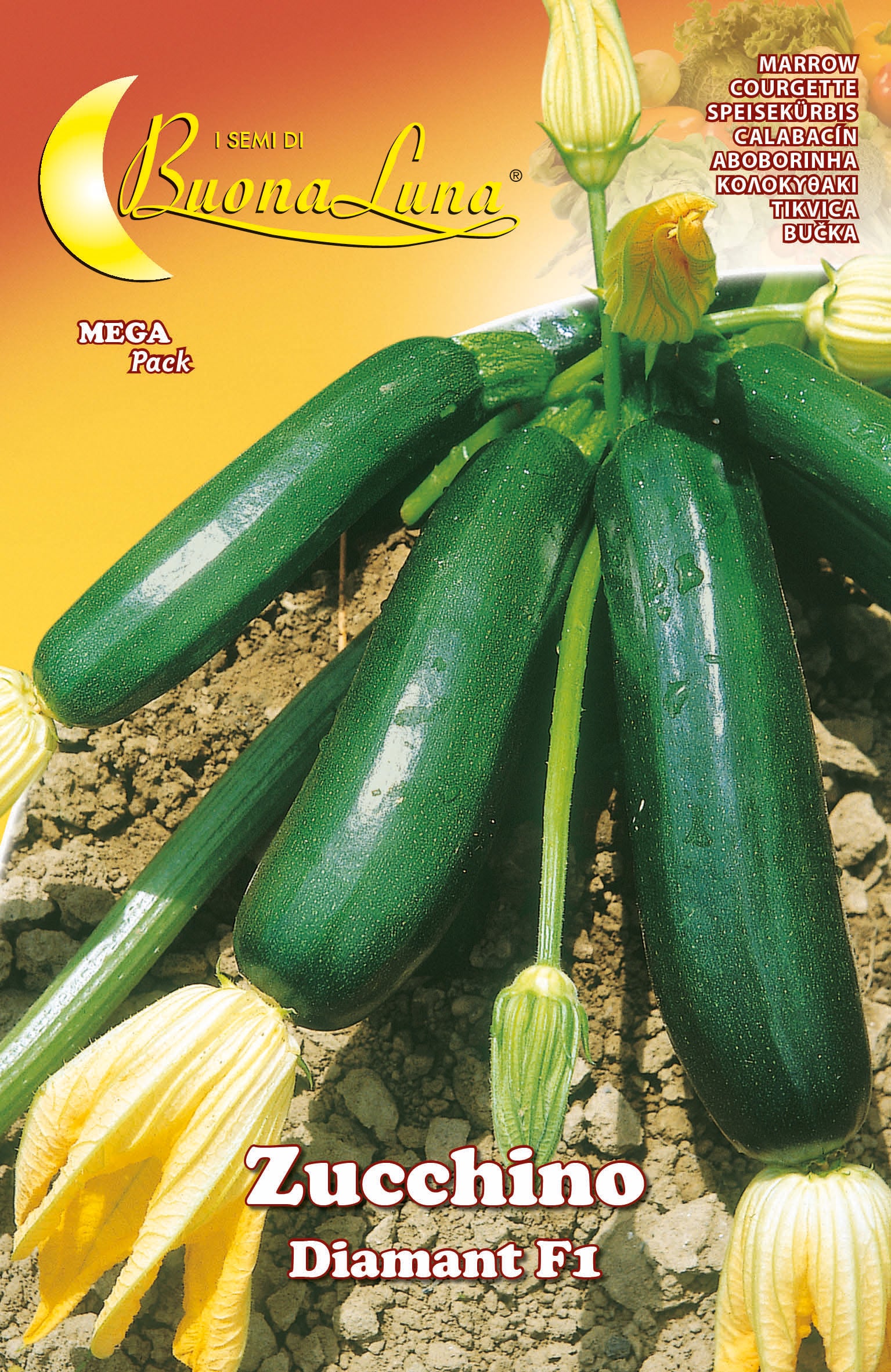 SEMI ORTO ZUCCHINO DIAMANT HORTUS SEMENTI PZ 10,0