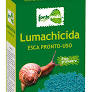 LUMACHICIDA GRAULARE LIMATER P.P.O.