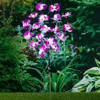 Luce Solare a LED da Giardino a Forma di Orchidee