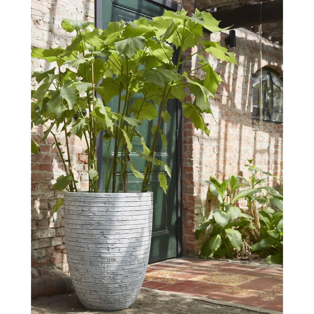 Vaso Nature Row Elegante Basso 46x58 cm Avorio KRWI783