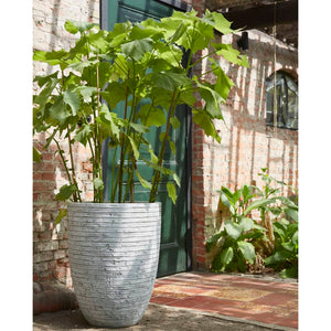 Vaso Nature Row Elegante Basso 46x58 cm Avorio KRWI783