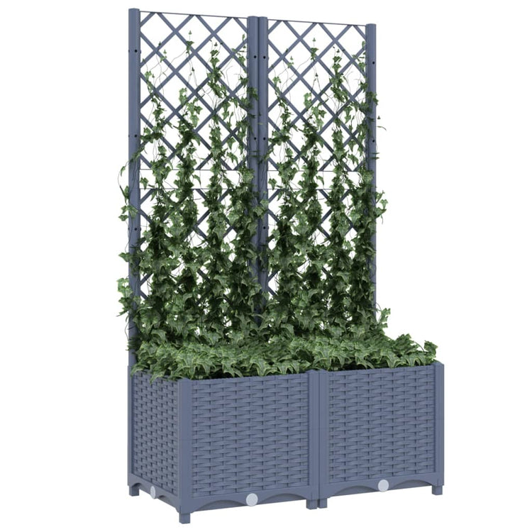 Fioriera da Giardino con Graticcio Grigio Scuro 80x40x136 cm PP