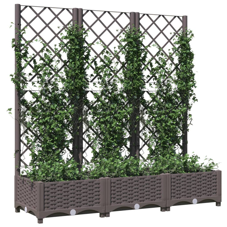 Fioriera da Giardino con Graticcio Marrone 120x40x121,5cm in PP