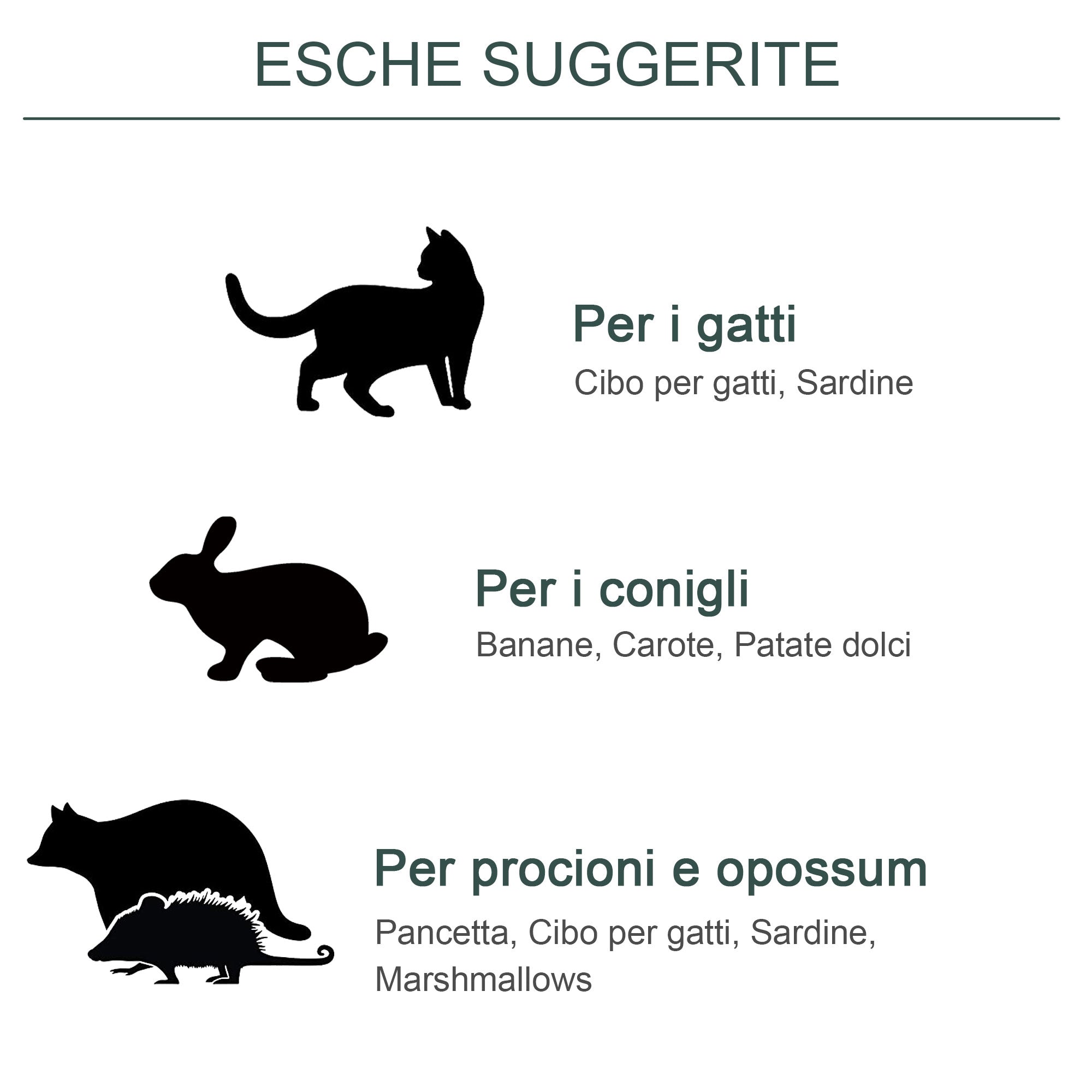 Easycomfort Gabbia Trappola per Gatti Randagi, Gabbia per Topi, Ratti e Nutrie con Doppia Porta, 100x25x28cm