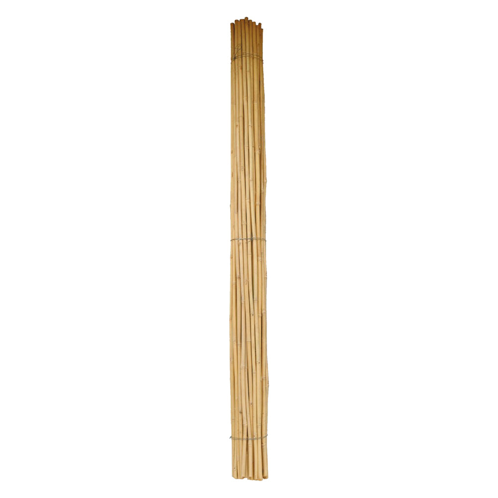 CANNA BAMBOO Ã˜ 24/26 mm. circa - h. mt 2,1 - 50 PZ