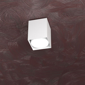 AREA PLAFONIERA TUBO H.10 1 LUCE BIANCO 1127-PL10-BI