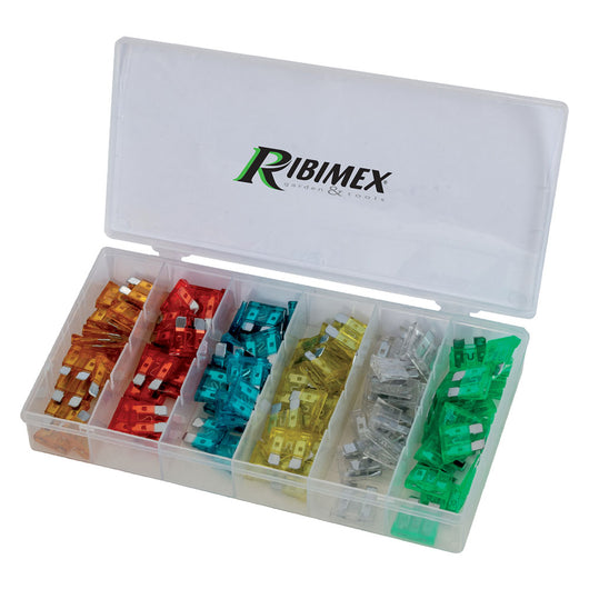 ASSORTIMENTO FUSIBILI 120 pezzi RIBIMEX