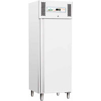 Armadio frigorifero frigo 1 porta -18 -22 RS0069