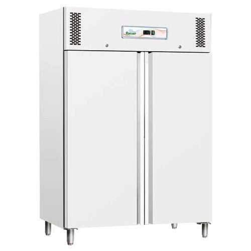 Armadio frigorifero frigo 2 porte -18 -22 RS0079