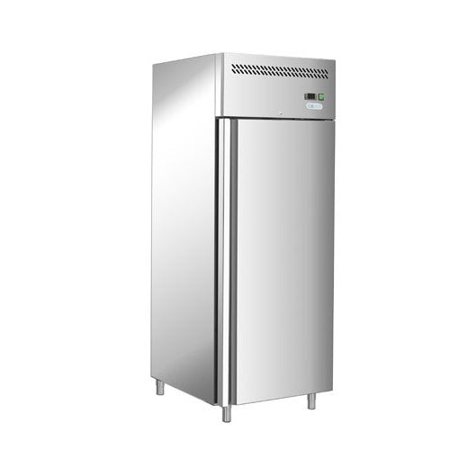 Armadio frigorifero frigor frigo -18 -22 RS9754