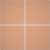 Pittura Murale Acril Silossanico Antialga Esterno - Rivestimenti Esterni B664 - Litri 14