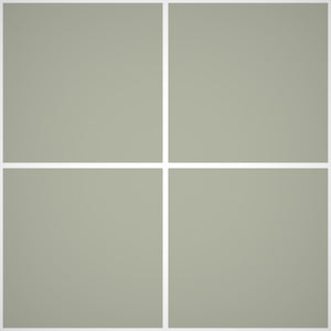 Pittura Murale Acril Silossanico Antialga Esterno - Rivestimenti Esterni B728 - Litri 14