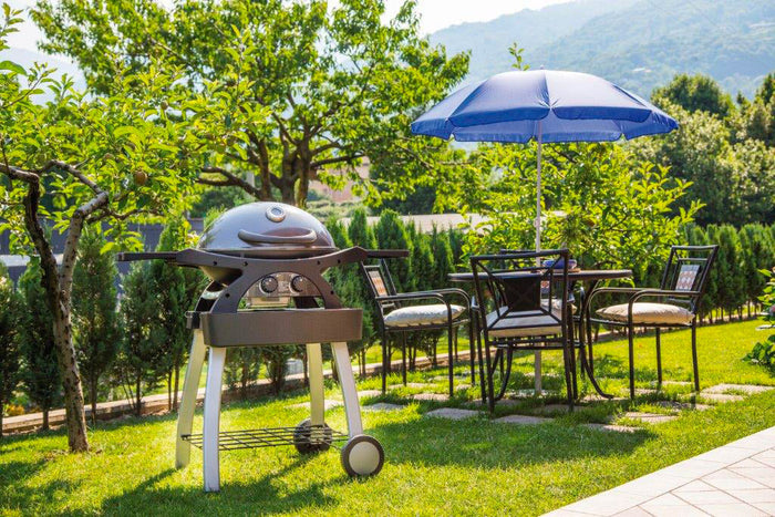 Barbecue a Gas GPL 2 Fuochi 5,2kW 2 Ripiani con Carrello Twin Grill Grigio