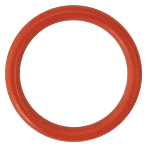 GUARNIZIONE O-RING PER PERNO per N 5 - mm 29,82 x  2,62 REBER