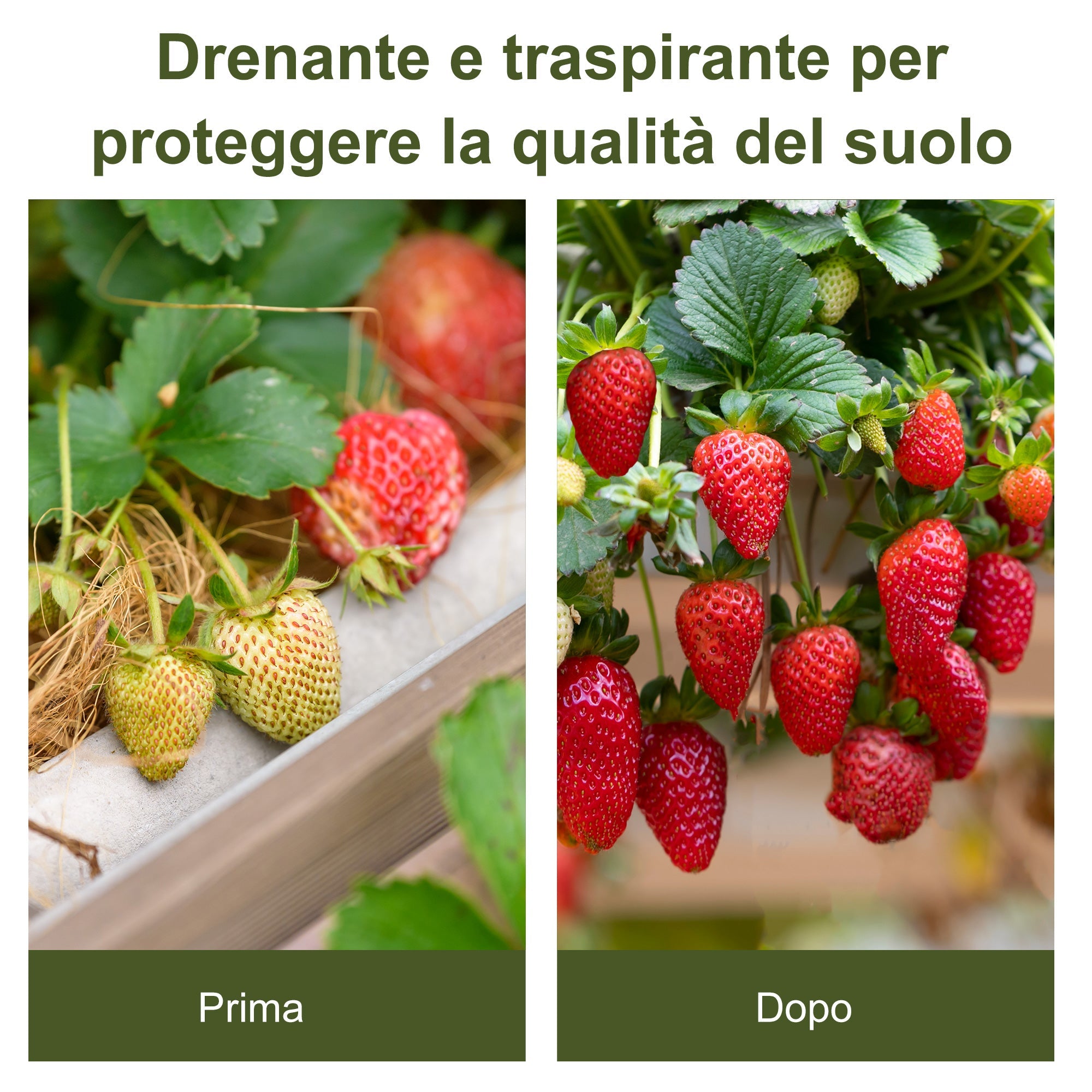 Telo per Pacciamatura 50x1 m in PP Drenante e Traspirante per Orto Serra e Giardino   Nero