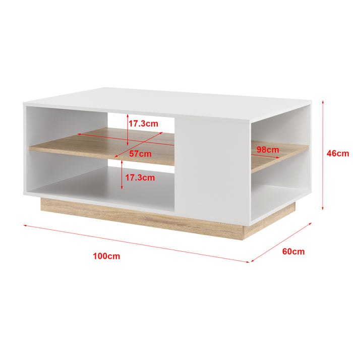 Tavolino da caffé/da Divano 46 x 100 x 60 cm Tavolo Basso da Salotto/Soggiorno in Forma Rettangolare con 2 Ripiani -