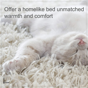 Easycomfort Cuccia per Gatti Cani Animali Domestici con Cuscino Morbido per Interno Rattan 57 × 46 × 17.5cm