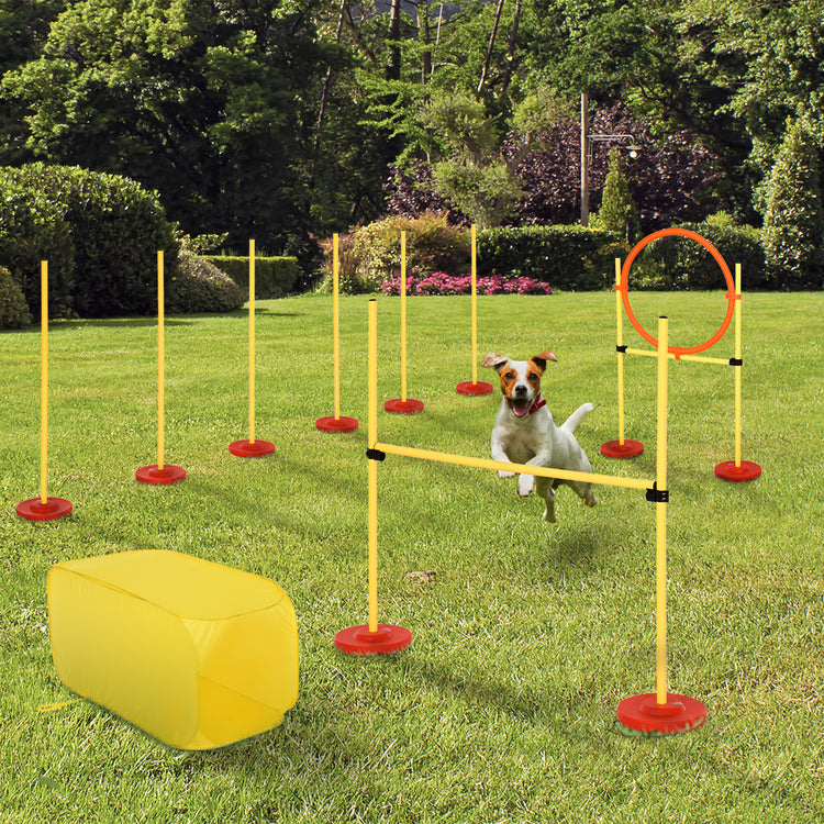 EasyComfort Set Agility Dog per Addestramento Cani con Ostacoli Regolabili, Slalom e Tunnel