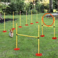 Set Addestramento per Cani con Paletti e Anello  Agility Dog