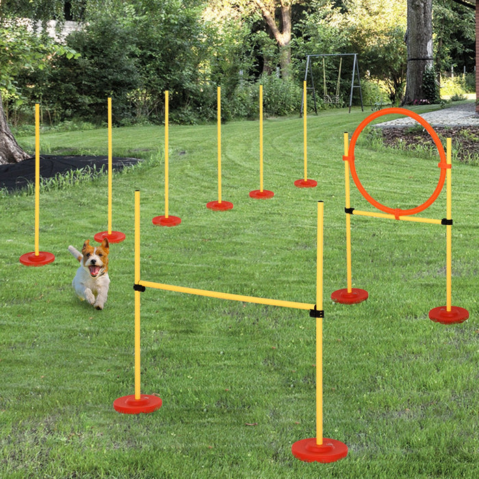 Set Addestramento per Cani con Paletti e Anello  Agility Dog