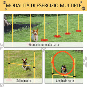 Set Addestramento per Cani con Paletti e Anello  Agility Dog