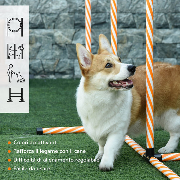 Easycomfort Attrezzi Agility Dog Set Completo Percorso Agility Dog con 5 Pezzi Slalom, Ostacolo e Tunnel, Arancione