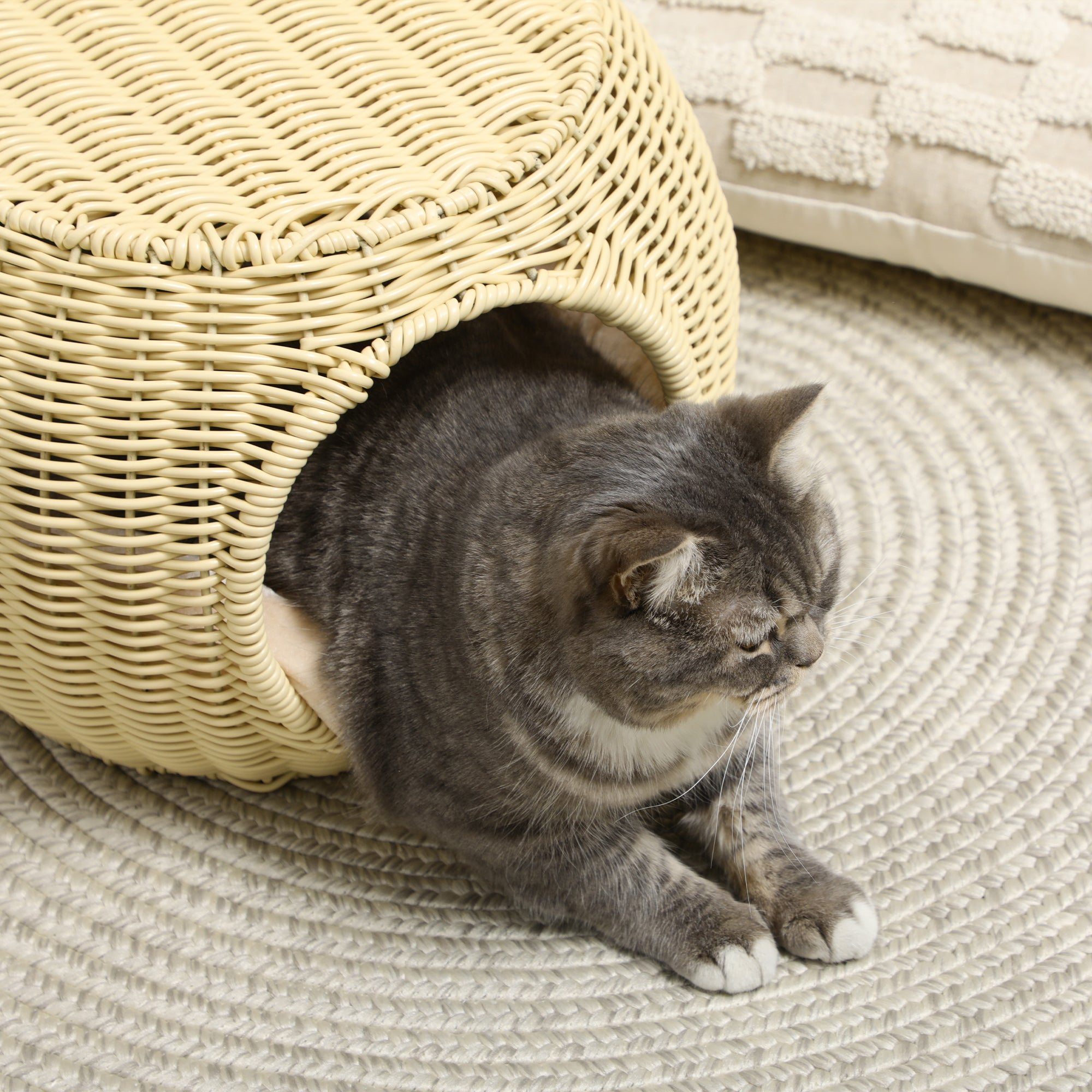 EasyComfort Casetta per Gatti a 2 Livelli in Rattan PE con Cuscino Lavabile, Ø40x30 cm, Beige