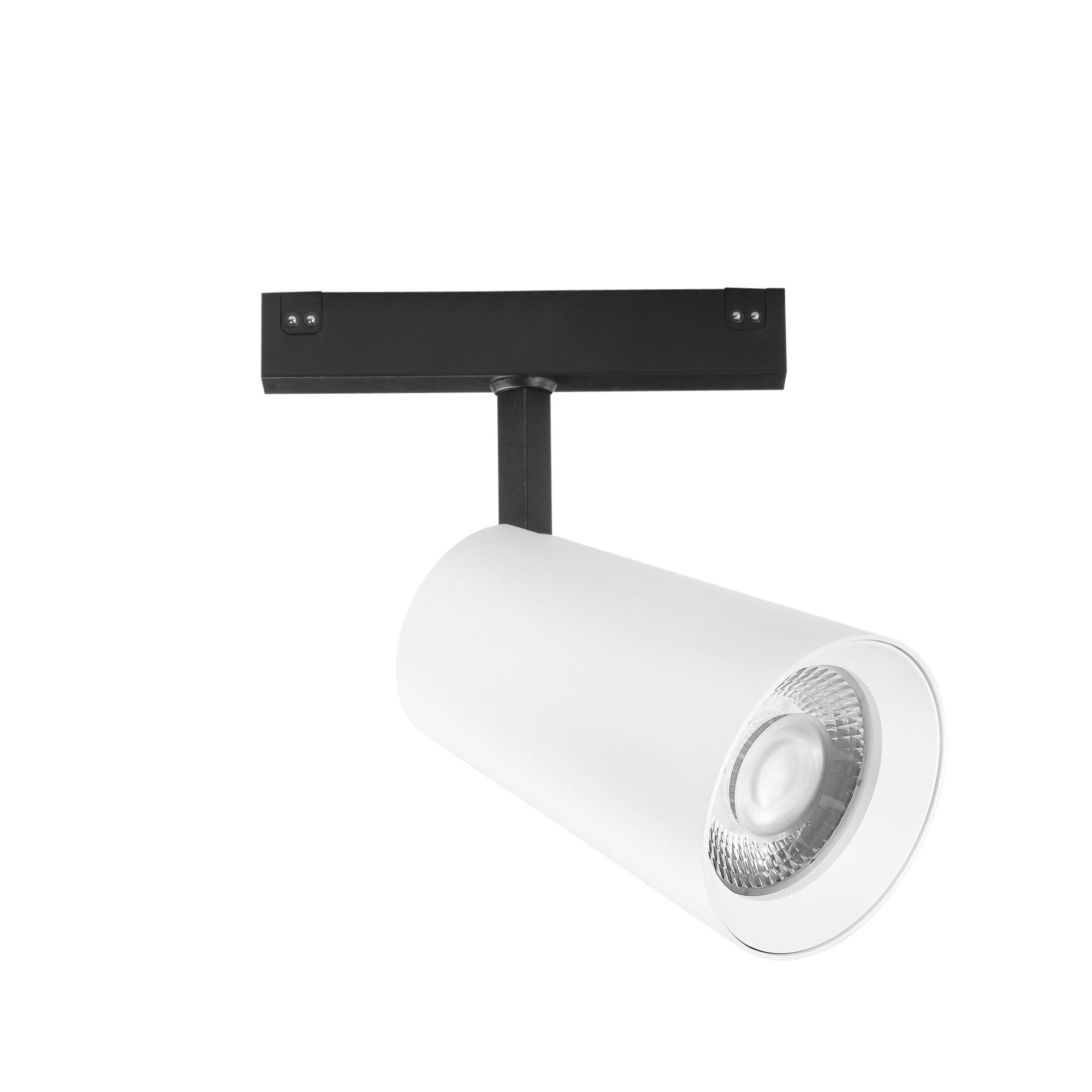 Faro binario DAVINCI 48V in alluminio bianco 30W luce calda 3000K