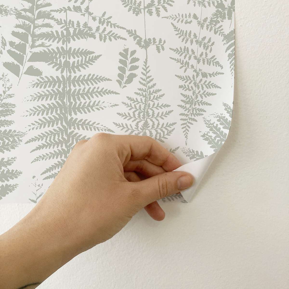 Carta da parati adesiva Fern in vinile verde salvia chiaro- 1 rotolo 50x300 cm-Decochic