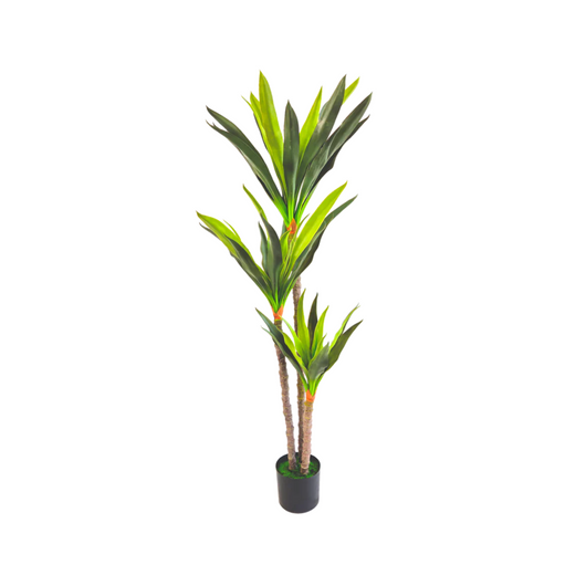 Pianta artificiale per interno Dracena 3 tronchi cm 150 con vaso